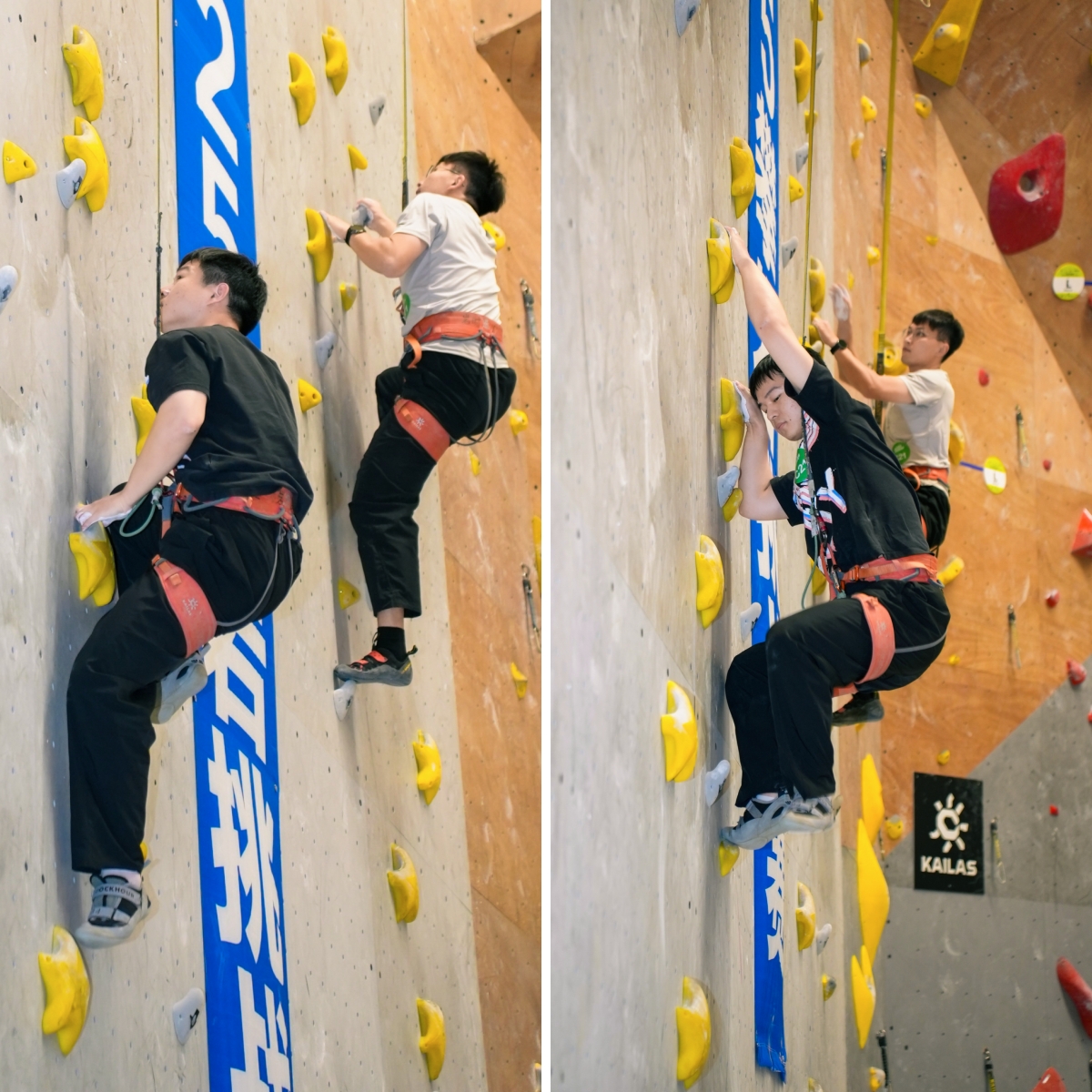 未命名.jpg 未命名.jpg